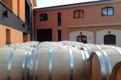 Nuevas barricas de roble francés para nuestros vinos Viña Vilano